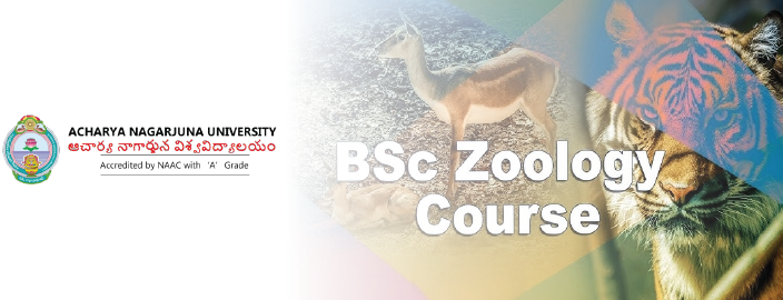 Acharya Nagarjuna Online M.Sc. in Zoology